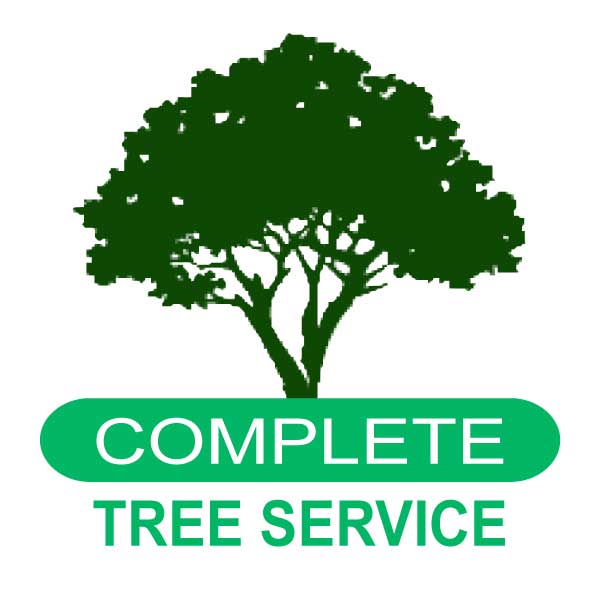 Tree Service