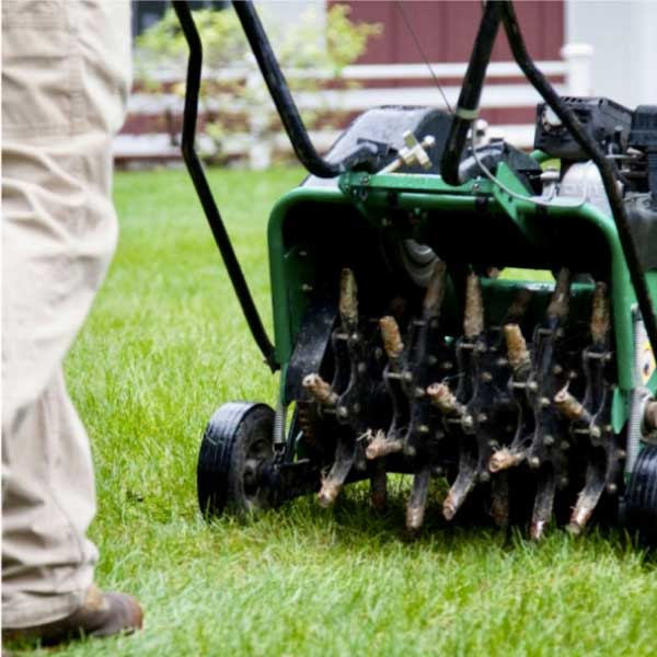 Lawn Aeration