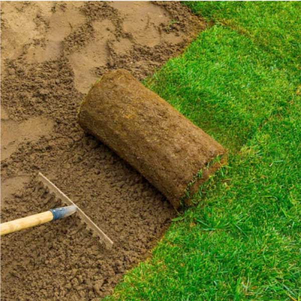 Sod Installation